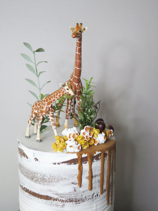 ケーキ：キリン&ポップコーン